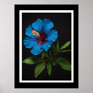 "Radiant Blue: Hibiscus Flower Against On Black Poster