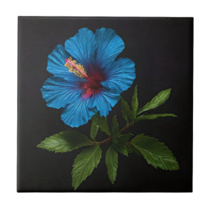 "Radiant Blue: Hibiscus Flower On Black Ceramic Tile