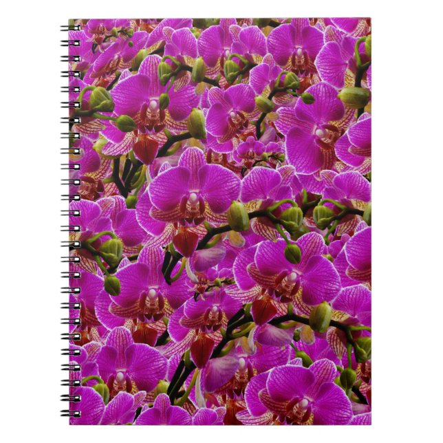 Radiant Clusters: The Magenta Orchid Symphony, Notebook (Front)