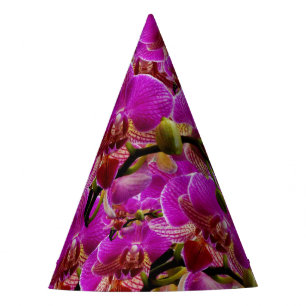 Radiant Clusters: The Magenta Orchid Symphony, Party Hat