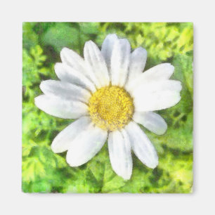 Radiant Daisy Watercolor Magnet