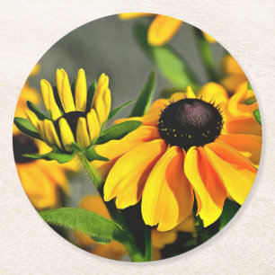 Radiant Golden Black Eyed Susan Rudbeckias Round Paper Coaster