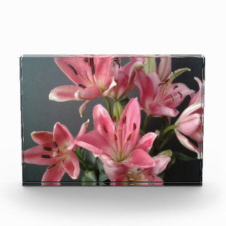 Radiant Grace:  Pink Lilies in Bloom Photo Block