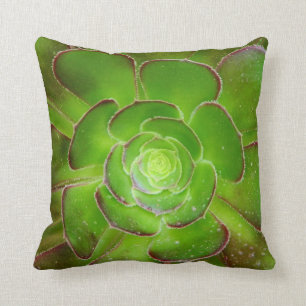 Radiant green succulent plant macro photography cushion