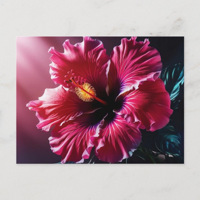 Radiant Hibiscus in Bloom Postcard (Front)