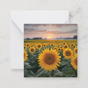 Radiant Horizon: Sunflowers at Dawn Card
