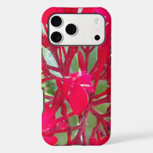 Radiant Life Beautiful Blood Flower Milkweed Art