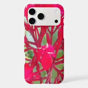 Radiant Life   Beautiful Blood Flower Milkweed Art