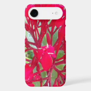Radiant Life Beautiful Blood Flower Milkweed Art