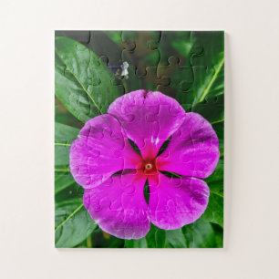Radiant Memory Bloom   Magenta Vinca Botanical Jigsaw Puzzle