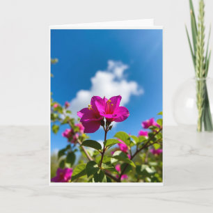 Radiant Mothers Day Flora Card