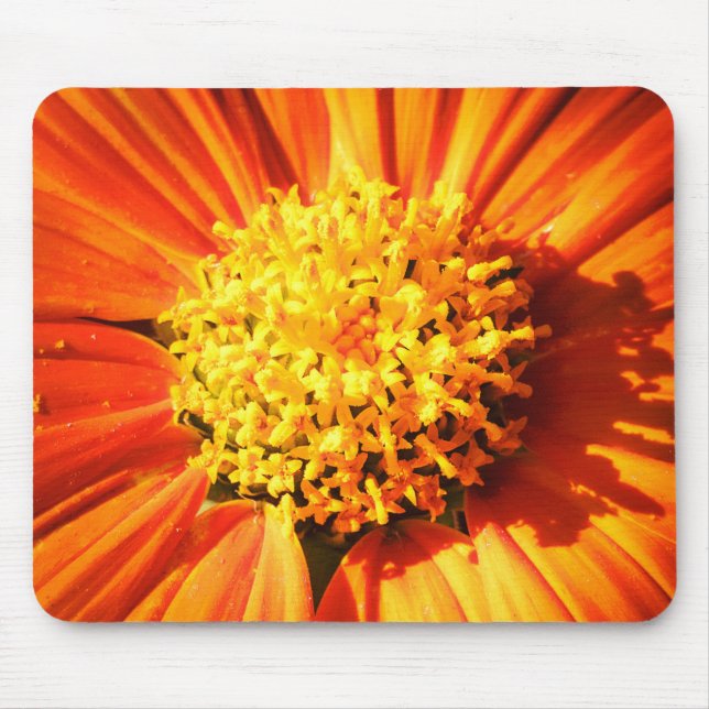 Radiant Orange Flower Macro Mouse Pad Photo (Front)