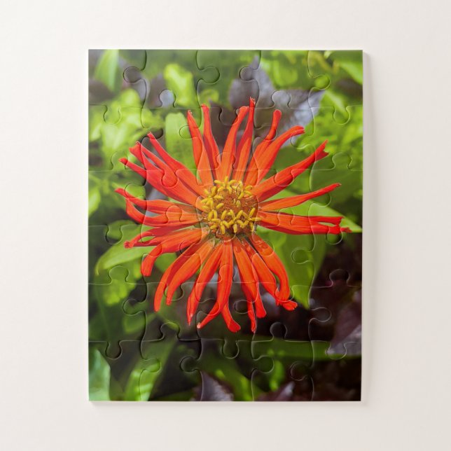 Radiant Orange Zinnia | Floral Tribute to Alzheime Jigsaw Puzzle (Vertical)