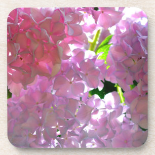 Radiant Pink Hydrangeas Coaster