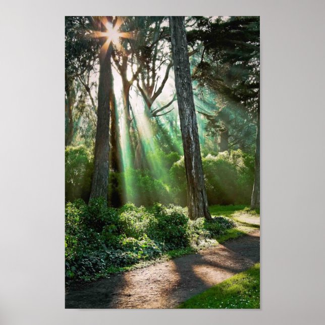 Radiant Poster (Front)