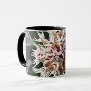 Radiant Purity: White Showy Milkweed Flower Photo Mug