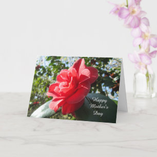 Radiant Red Camellia - Custom Mother's Day Card