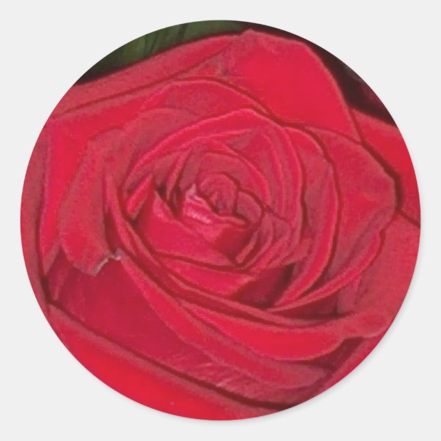 Radiant Red Rose Sticker (Front)