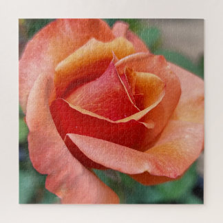 Radiant Rose – Petals in Harmony Jigsaw Puzzle