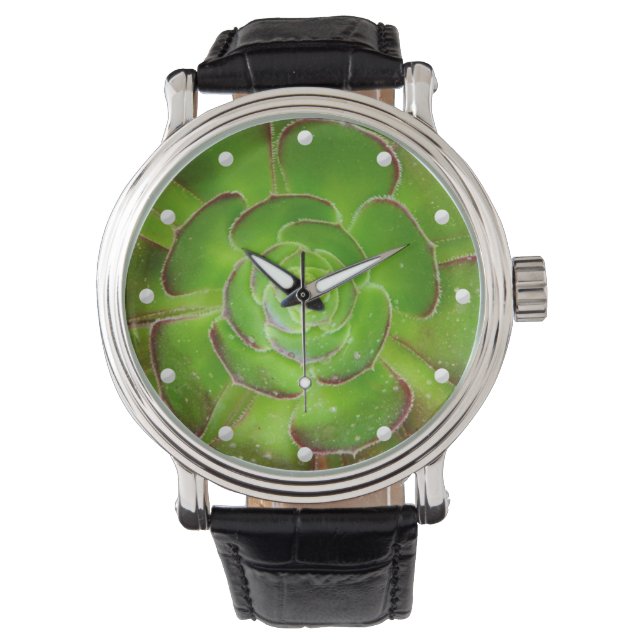 Radiant succulent amazing picture glowing green watch (Front)
