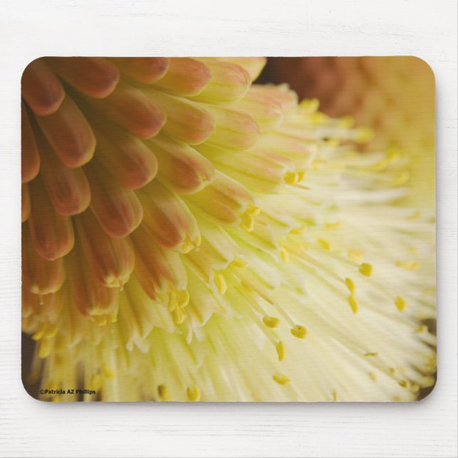 Radiant Torch Lily Mouse Pad (Front)