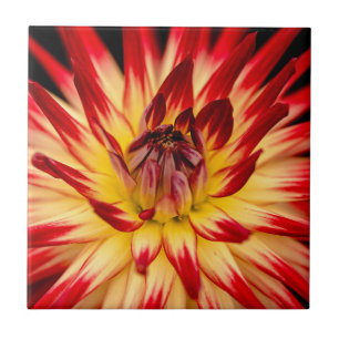 Radiant Yellow & Red Flower, Floral Close-up Shot Ceramic Tile