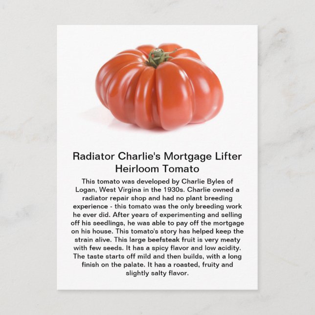 Radiator Charlie - Mortgage Lifter Heirloom Tomato Postcard (Front)