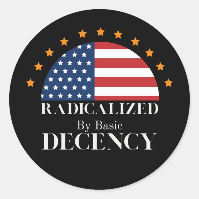Radicalised by Basic Decency USA Flag Classic Round Sticker (Front)