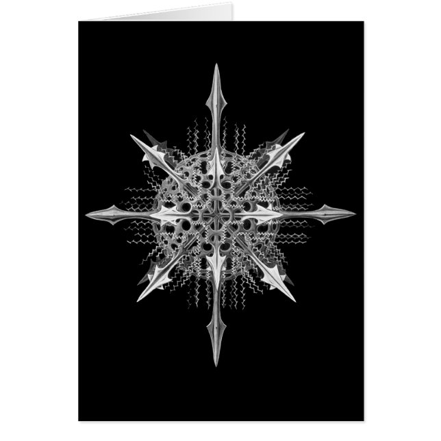 Radiolarians (Front)