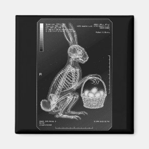 Radiology Nurse Radiologist Funny Easter Bunny Magnet