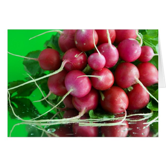 Radish (Front Horizontal)