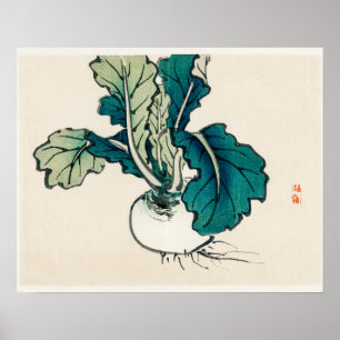 Radish by Kōno Bairei (1844-1895) Poster