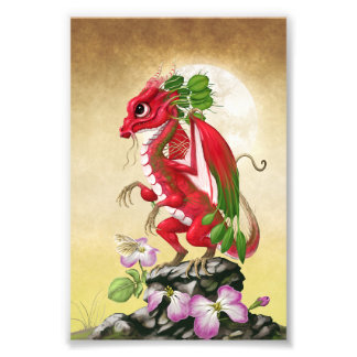 Radish Dragon 4x6 Print