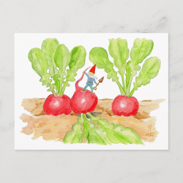 Radish Garden Gnome postcard (Front)