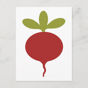 Radish Postcard