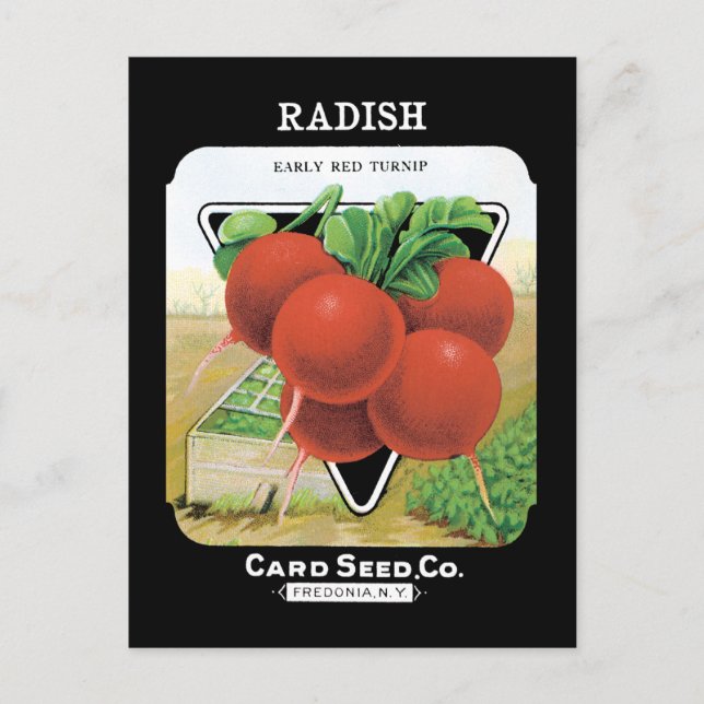 Radish Seed Pack Postcard (Front)