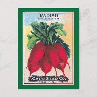 Radish Seed Packet Postcard