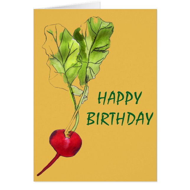 Radish vegetable watercolour illustration art (Front)