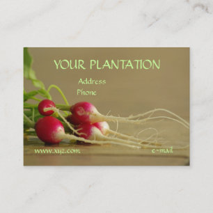 Radishes Business Card