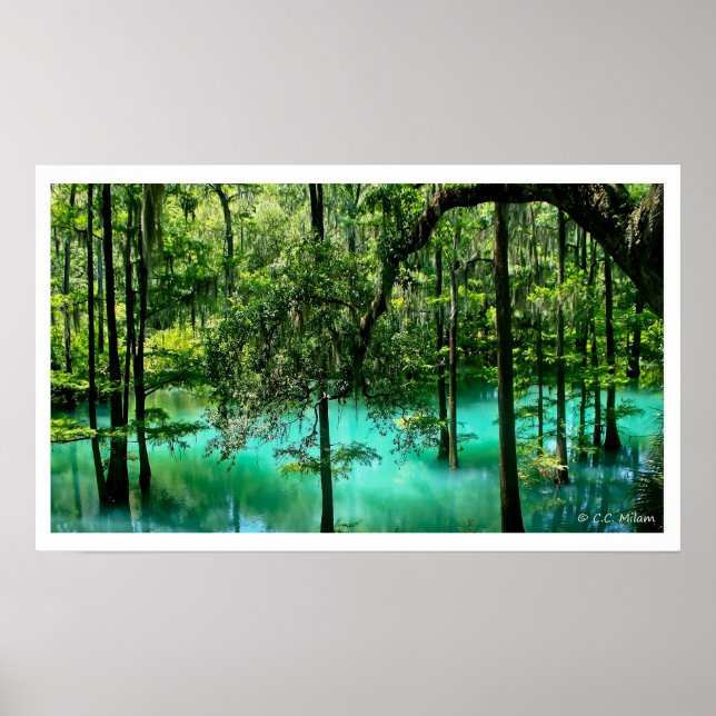 Radium Spring, Albany, Georgia Poster (Front)