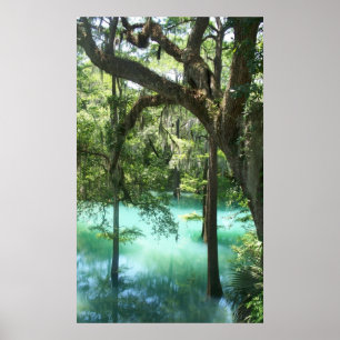 Radium Springs Along Flint River GA Poster