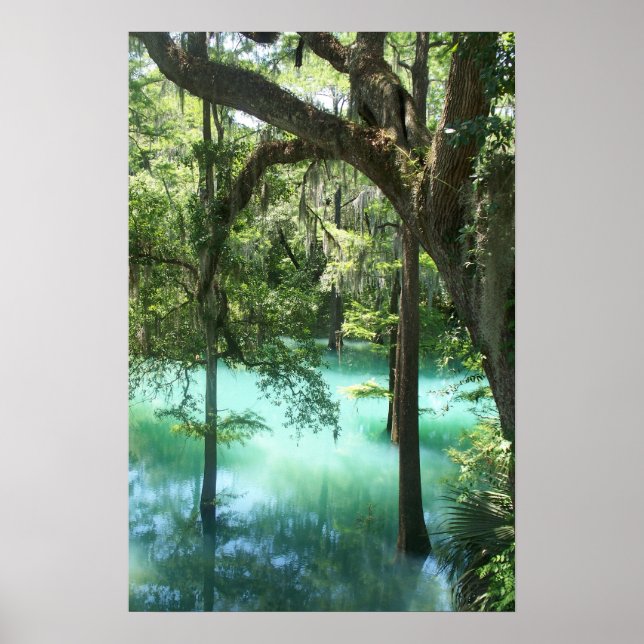 Radium Springs Beauty Poster (Front)