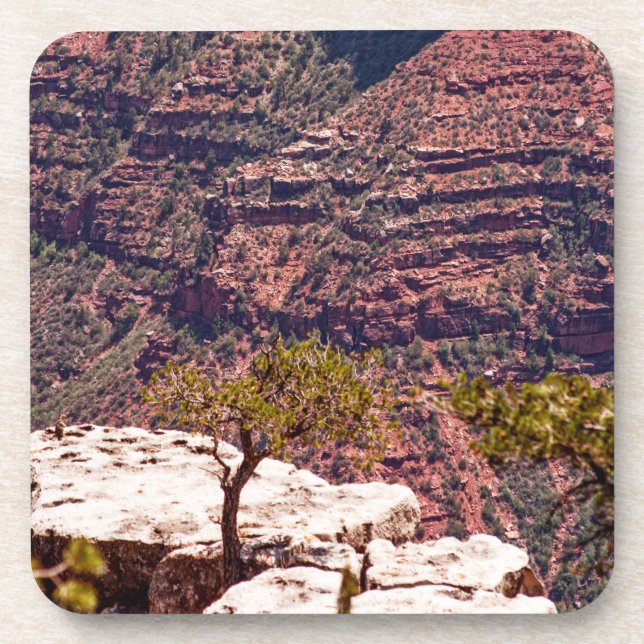 Rafinesque Watches Coaster (Front)