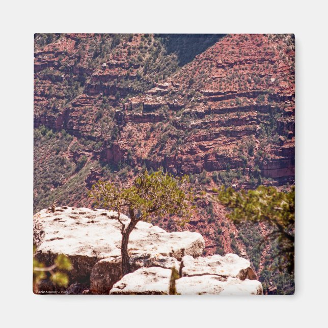 Rafinesque Watches Magnet (Front)