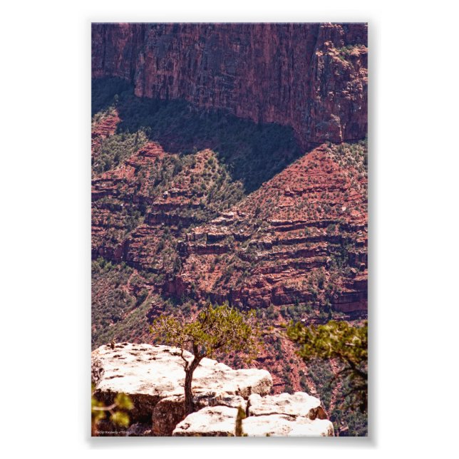 Rafinesque Watches Photo Print (Front)