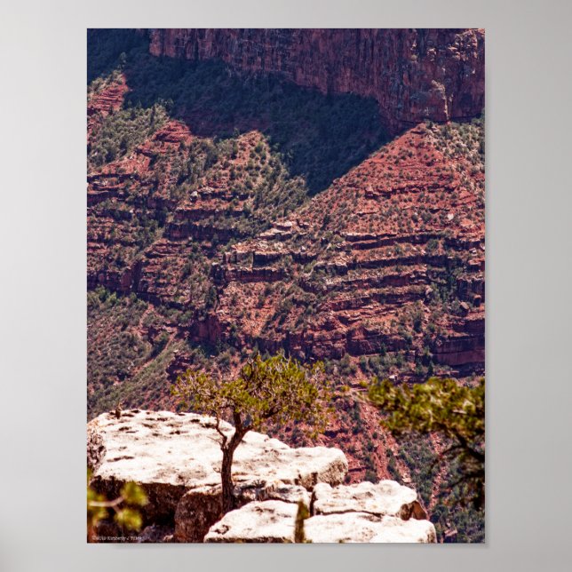 Rafinesque Watches Poster (Front)