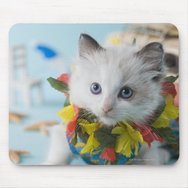 Rag Doll Kitten and Summer Vacation Mouse Pad (Front)
