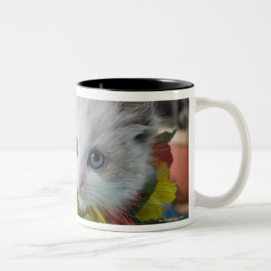Rag Doll Kitten and Summer Vacation Two-Tone Coffee Mug