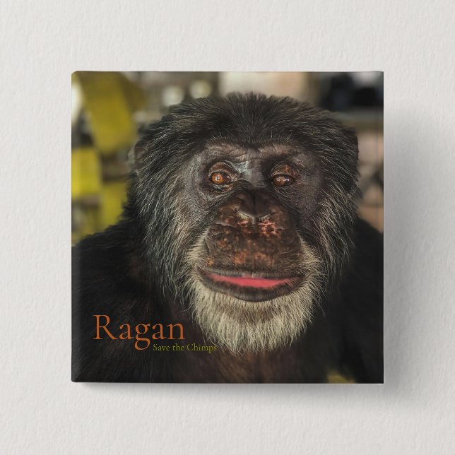 Ragan, Save the Chimps 15 Cm Square Badge (Front)