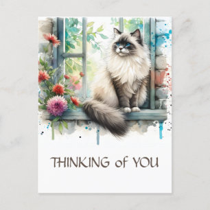 Ragdoll Beige Cat in Window with Summer Flowers Postcard